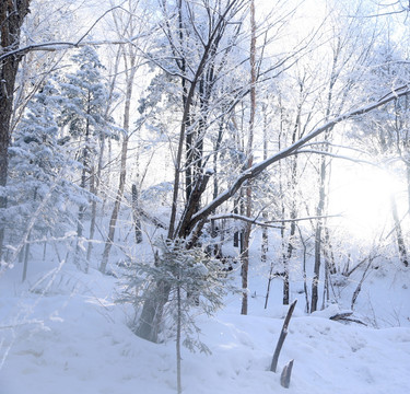 雪乡 雪乡风景 中国雪乡