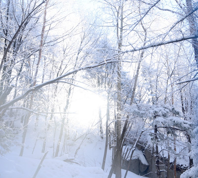 雪乡 雪乡风景 中国雪乡