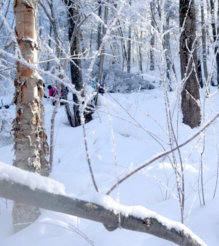 雪乡 雪乡风景 中国雪乡