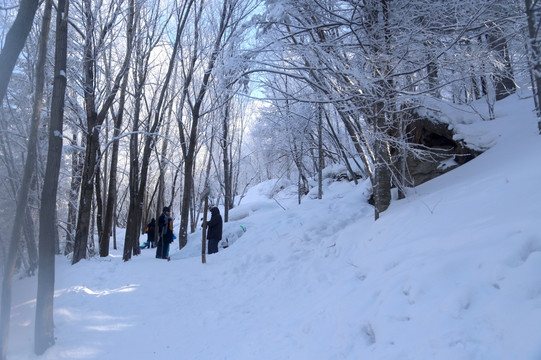 雪乡 雪乡风景 中国雪乡