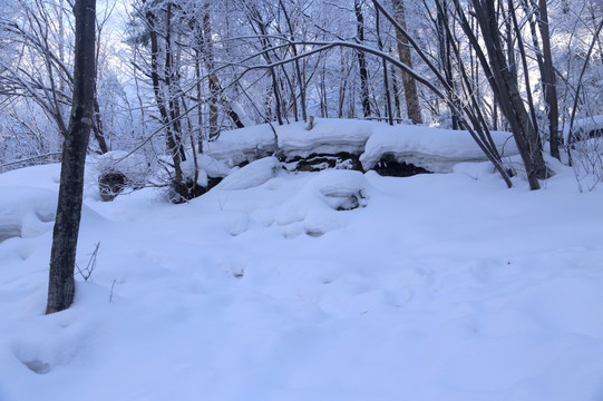 雪乡 雪乡风景 中国雪乡