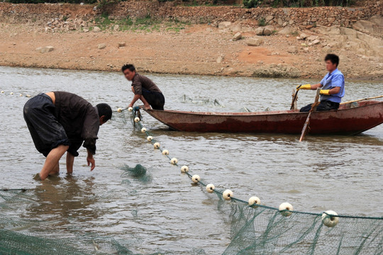 拉网捕鱼 渔业生产
