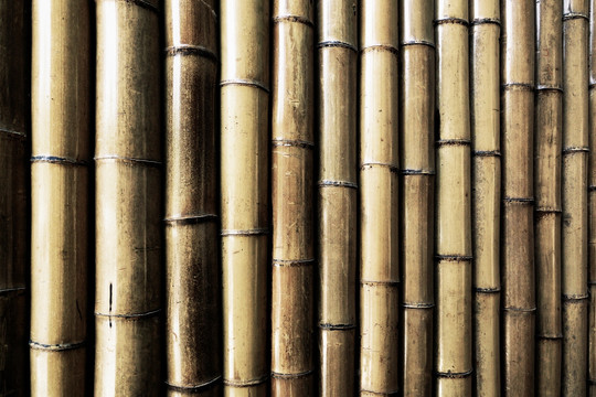 竹子墙壁