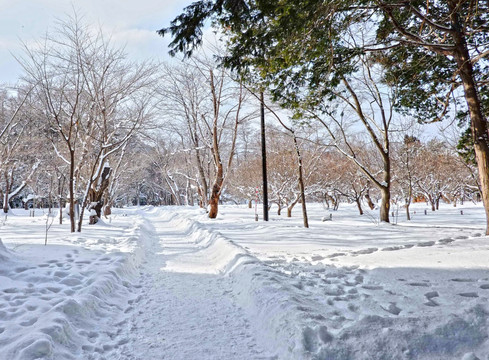 雪地道路 雪路 冬季美景