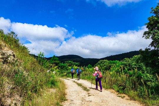 山路 上山