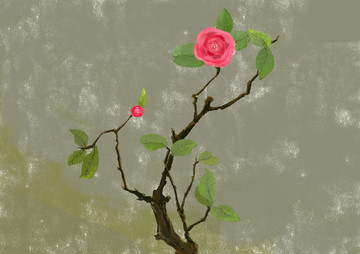 花卉插畫