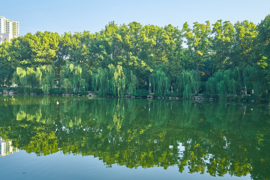 湖畔美景 滨湖风景画 高清大图