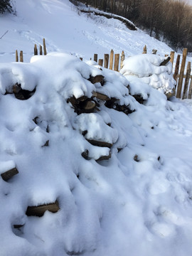 雪景 冰雪 雪地 冬季 冬景