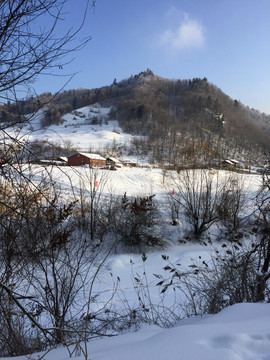 雪景 冰雪 雪地 冬季 冬景