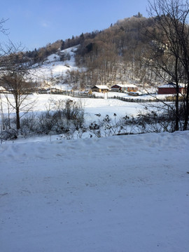 雪景 冰雪 雪地 冬季 冬景