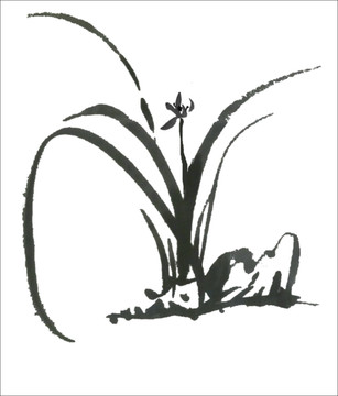 蘭花素材