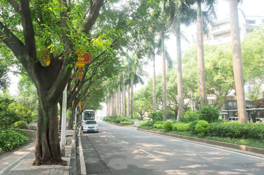 城市道路