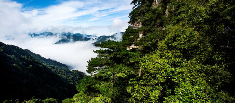 羊狮慕 云海 青山