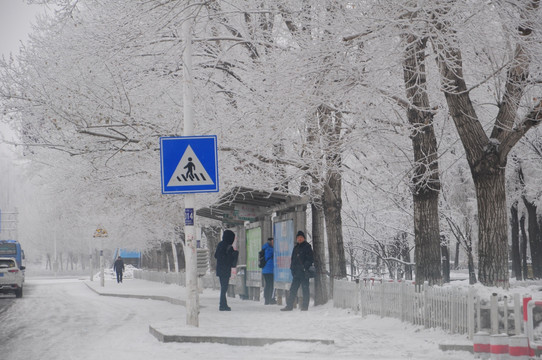 雪景 公交车站