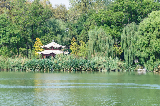 玄武湖公园风景