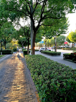 国庆节的城市道路风景