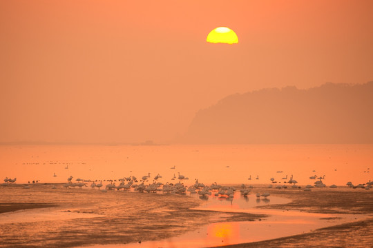 海边日出