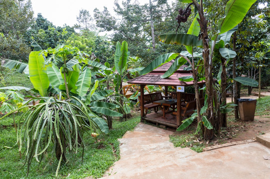 热带水果园