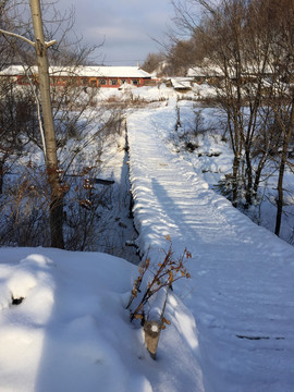 雪景 冰雪 雪地 冬季 冬景