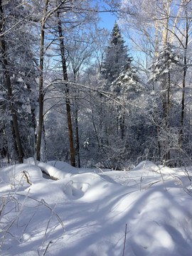 雪景 冬景 山峰 石峰 树木