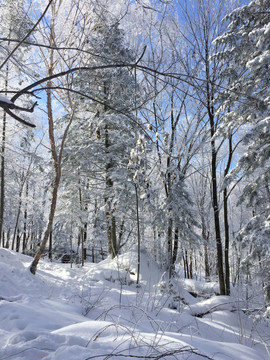 雪景 冬景 山峰 石峰 树木