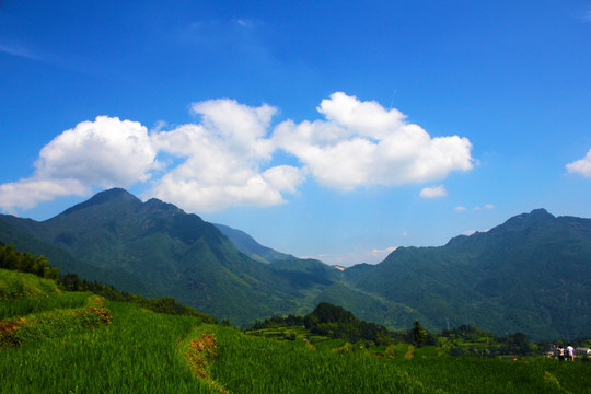 蓝天白云 青山梯田