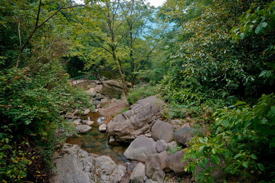 安吉浙北峡谷自然风景