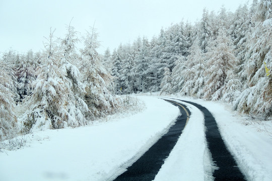 雪景 草原天路