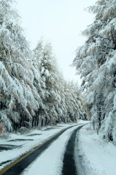 雪景