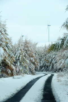 雾凇 雪景 天路