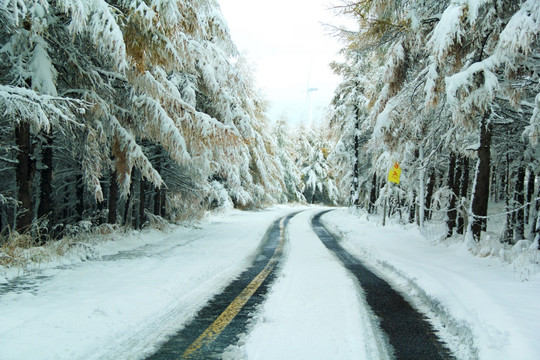 雾凇 雪景 草原天路