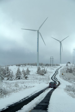 雪景 草原天路