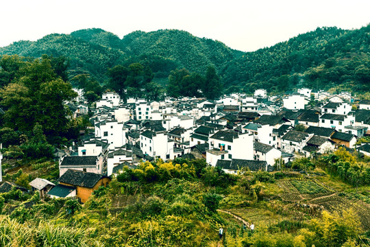 婺源風(fēng)光
