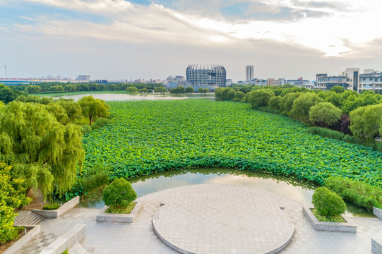 上海东华大学