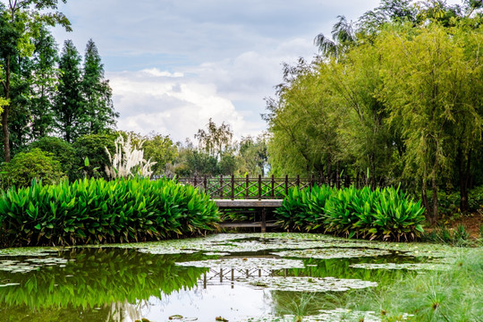 昆明滇池湿地