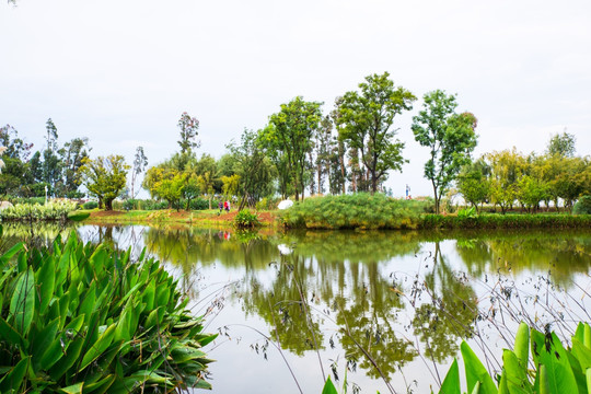 昆明滇池湿地