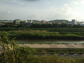 河畔风景