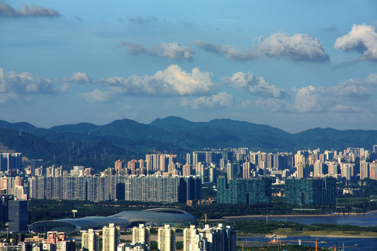 深圳湾滨海城市风光