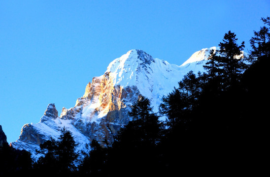 稻城亚丁雪山