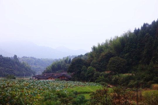 鄉(xiāng)村風(fēng)光