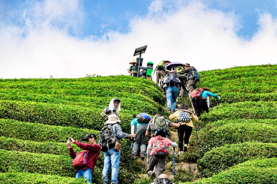 徒步旅行 登山 驴友徒步