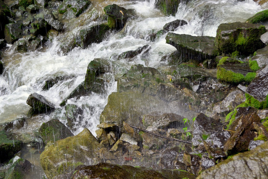 清澈山溪 涓涓流水 山涧清流