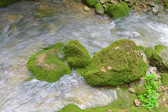 清澈山溪 涓涓流水 山涧清流