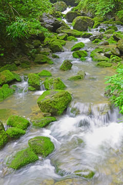 清澈山溪 涓涓流水 山涧清流