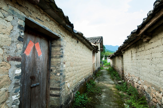 田园 乡村 绿色 生活 稻田