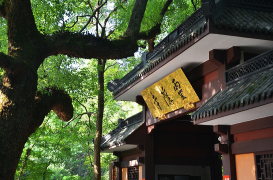 杭州灵隐寺