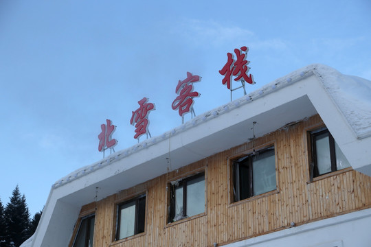 雪 山 风景 树 户外 自然