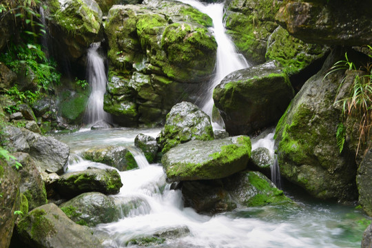 清澈山溪 涓涓流水 山涧清流