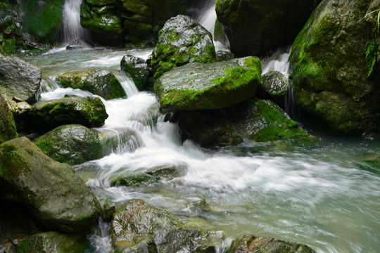 清澈山溪 涓涓流水 山涧清流