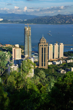 深圳湾滨海城市风光